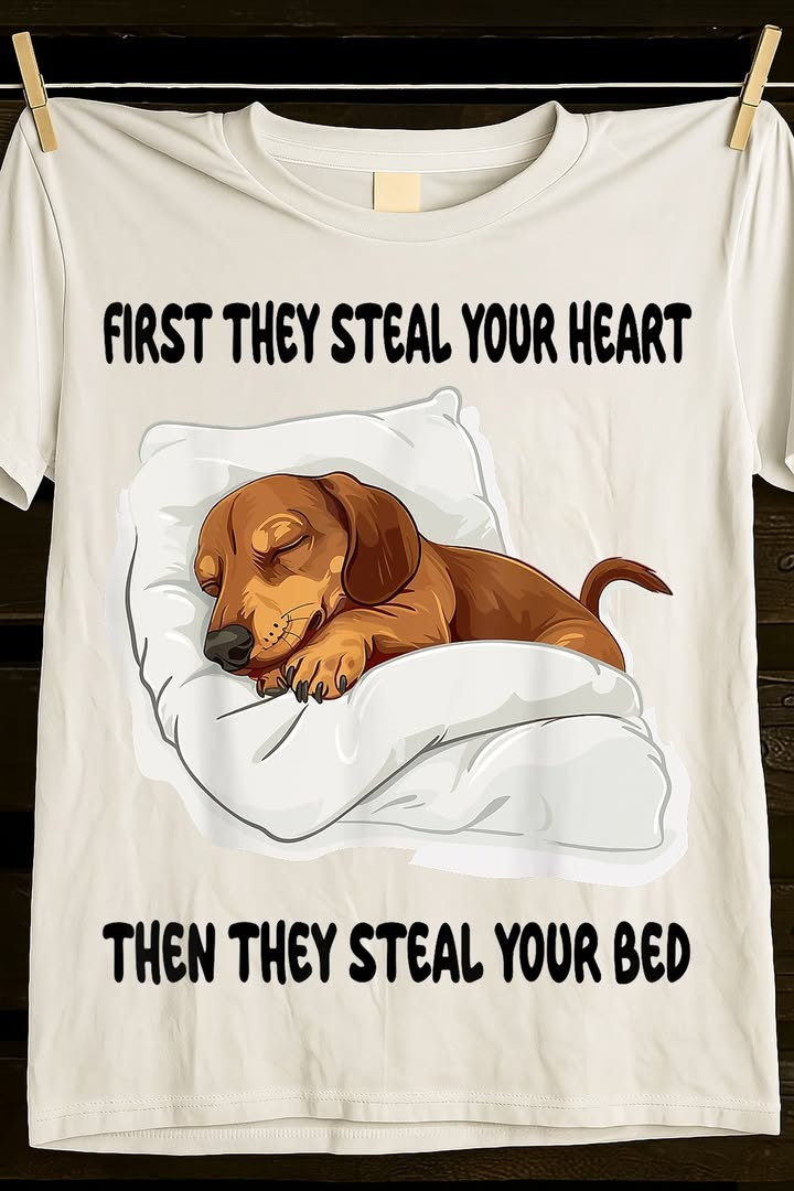 Dachshund First They Steal Your Heart Then Your Bed Shirt Cute Gifts For Wiener Dog Lovers - Softandstyle